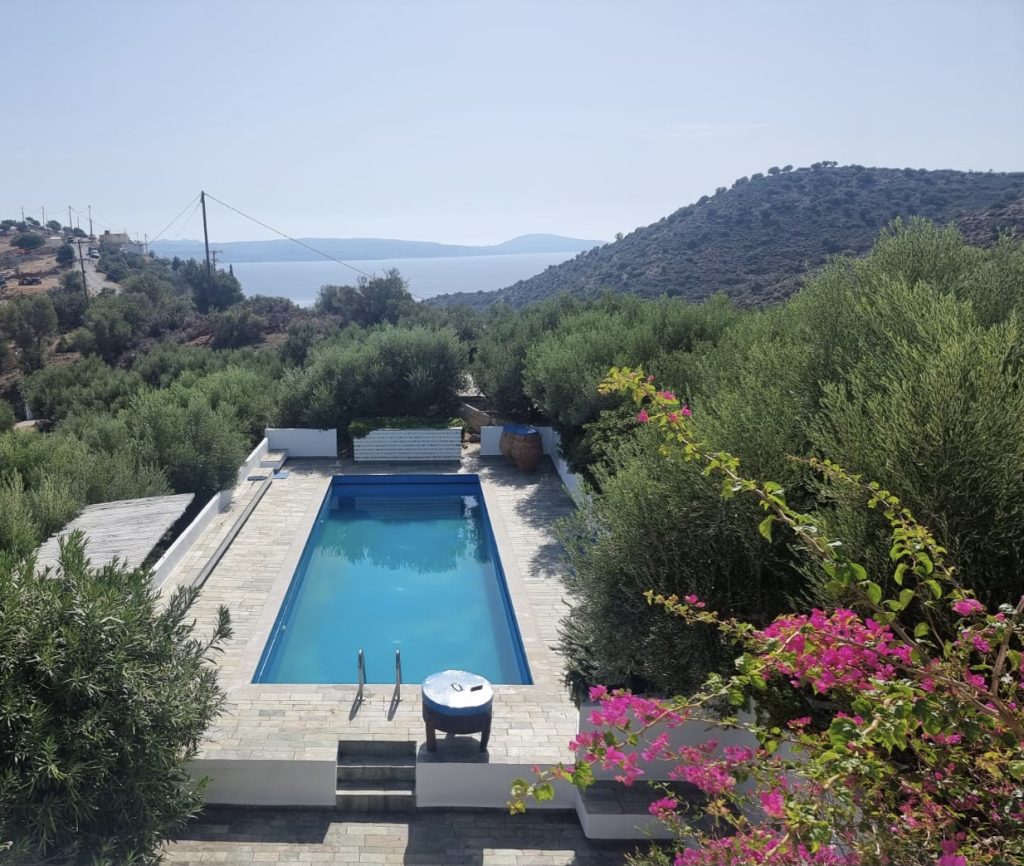 Olive grove serenity, Agia Galini Kreta